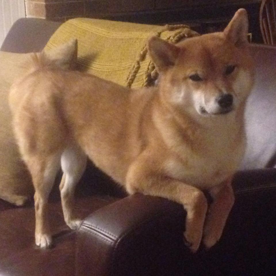 热浪与冷锋,当血性碰撞神话,唯一性如何被铸造