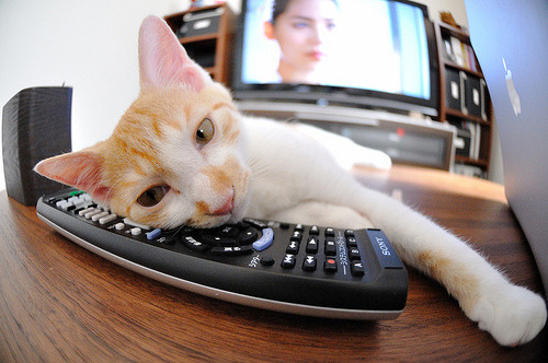 舞台越辽阔，他越璀璨，解读布克现象与新疆队的胜利基因