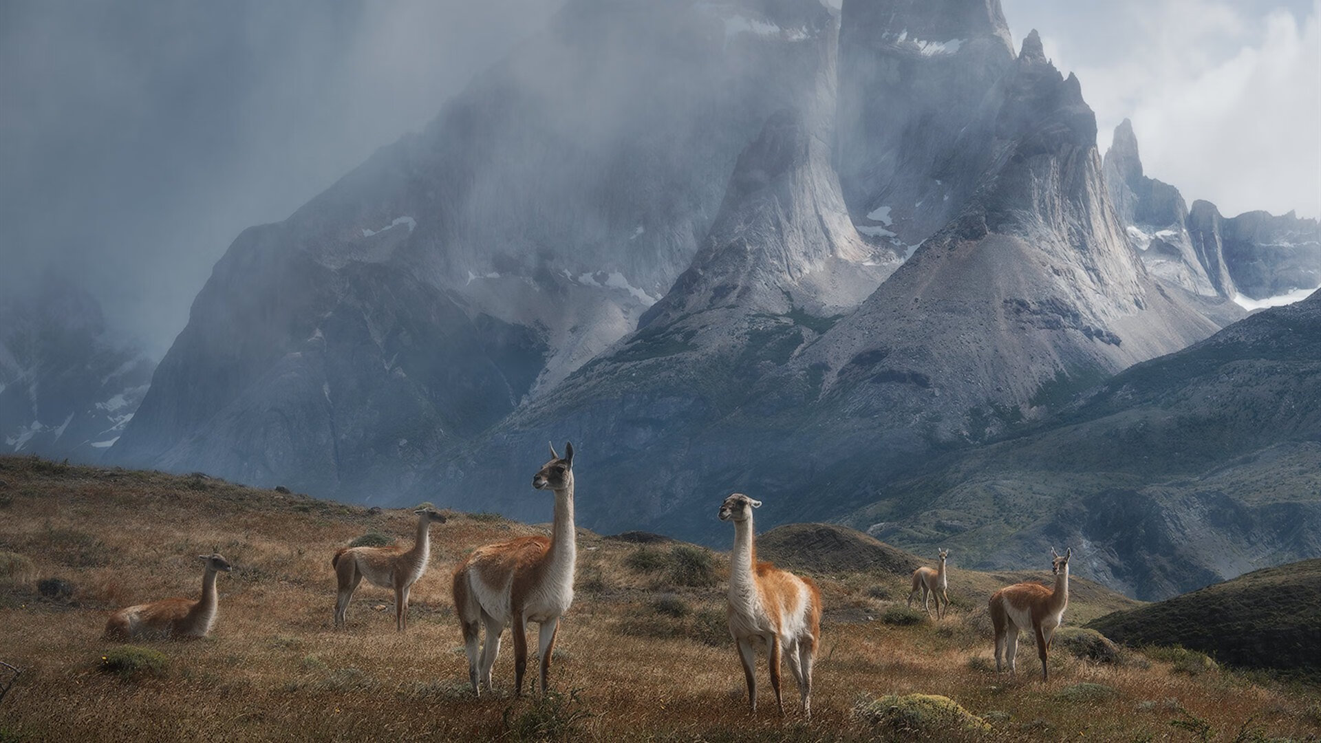 节奏的艺术,从穆勒的呼吸到芬兰的心跳
