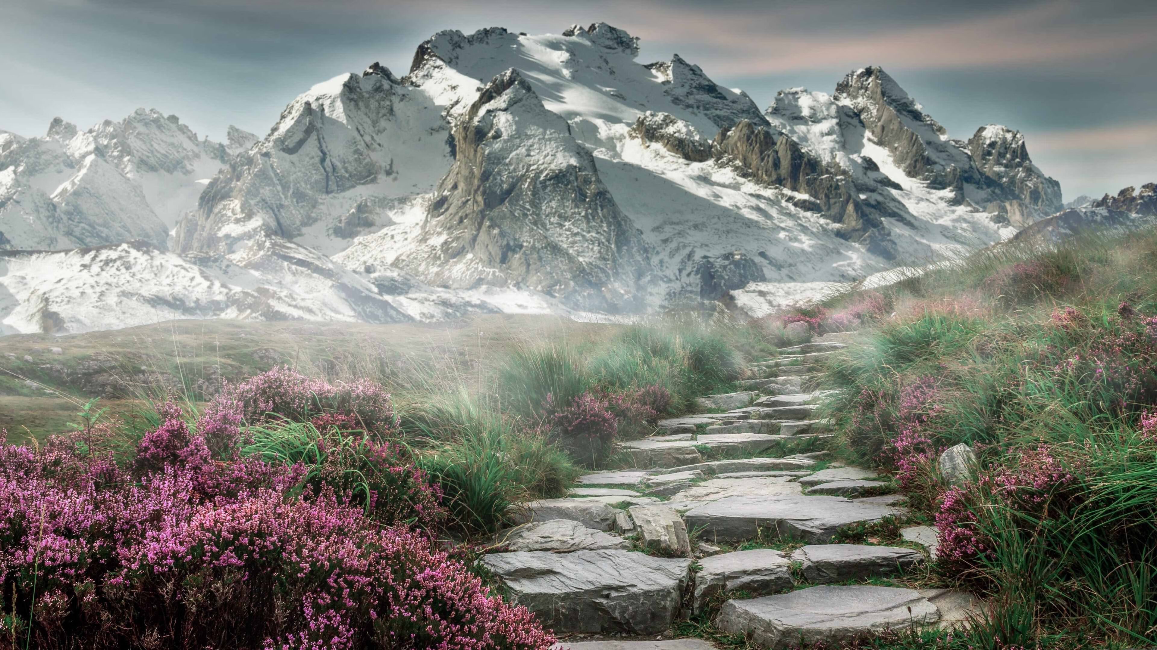 雷火电竞合作-沙漠雄鹰的铁幕，伊拉克的战术绞杀与富安健洋那把出鞘的武士刀