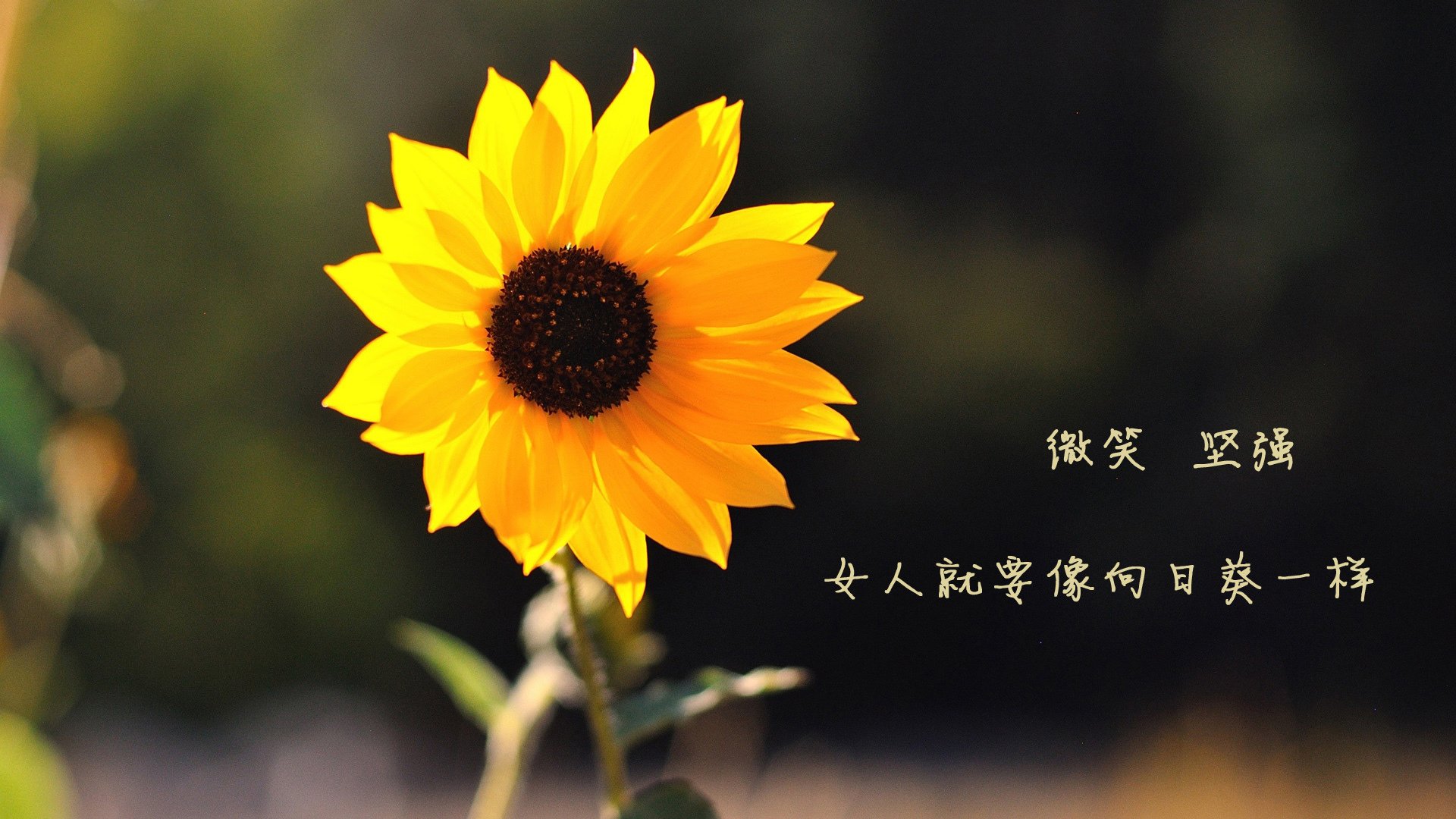 唯一绝唱，萨拉赫临别赠礼，美国明星联队压哨绝杀雷恩