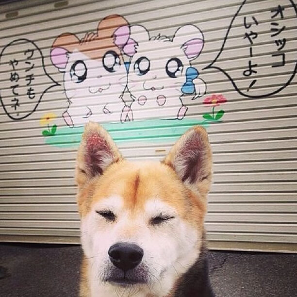 闪电撕裂夜空！快船决胜局收割浙江，杰伦格林攻防转换定鼎乾坤