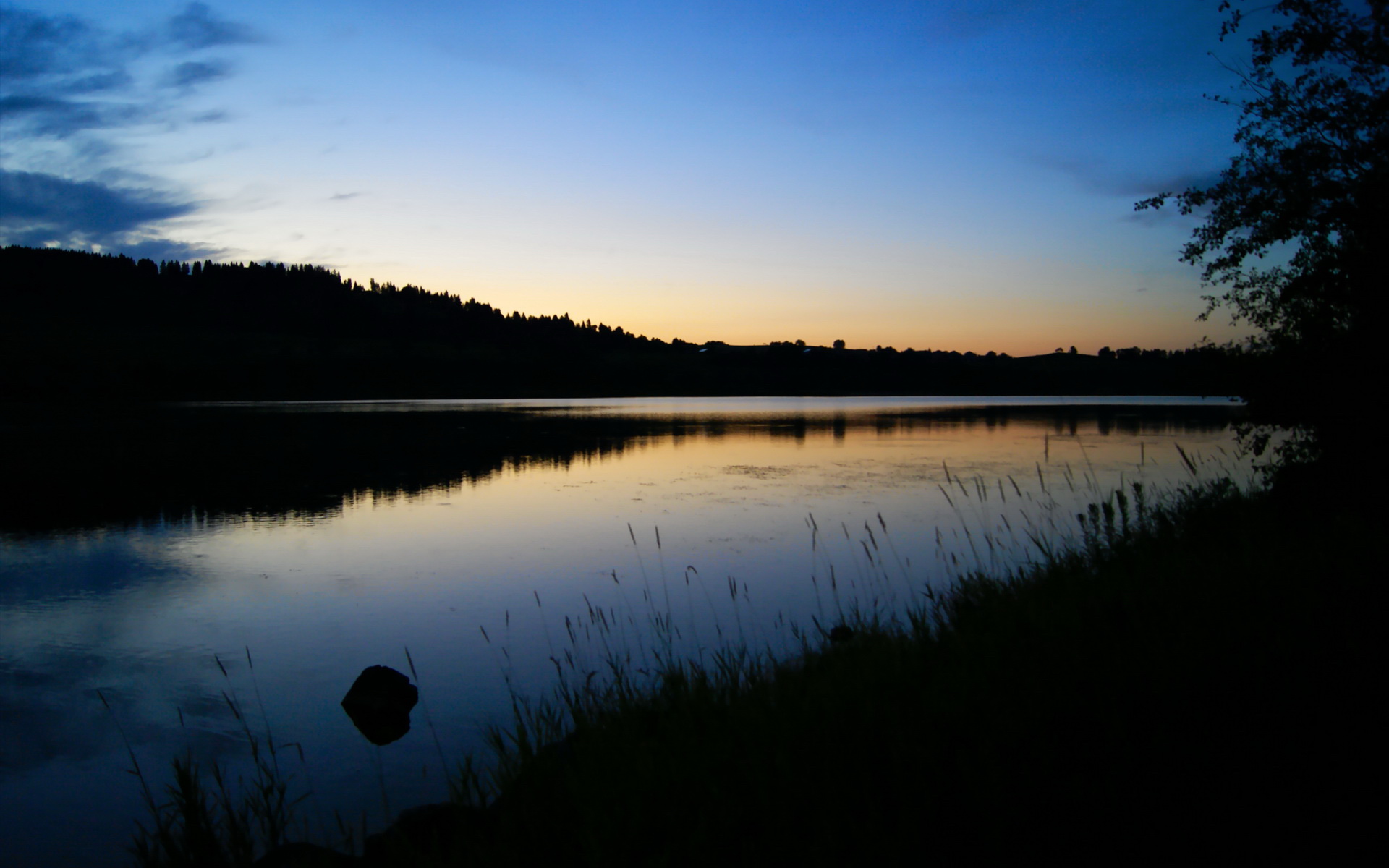从加的夫废墟到NBA王座，绝境中的主宰者如何诞生