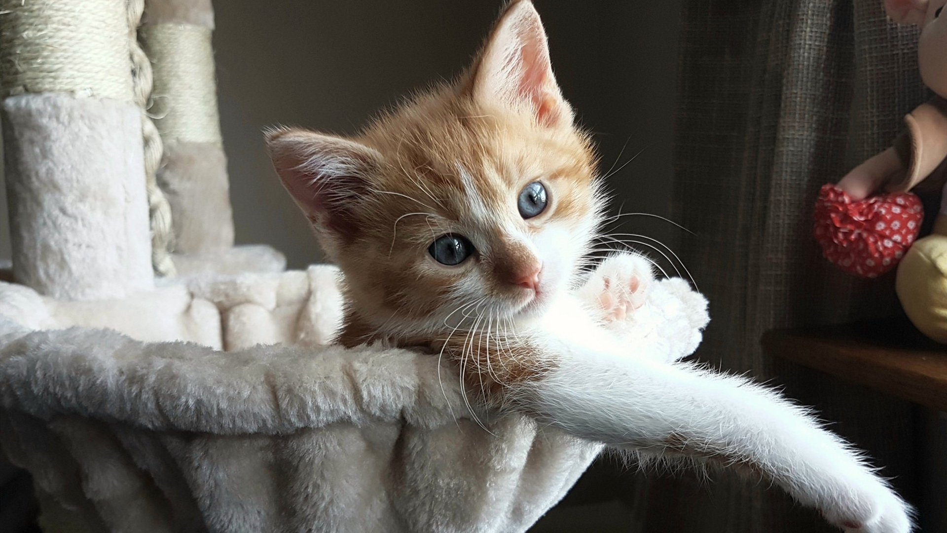 决胜暗语，那个只有巴雷拉知道的破防密码